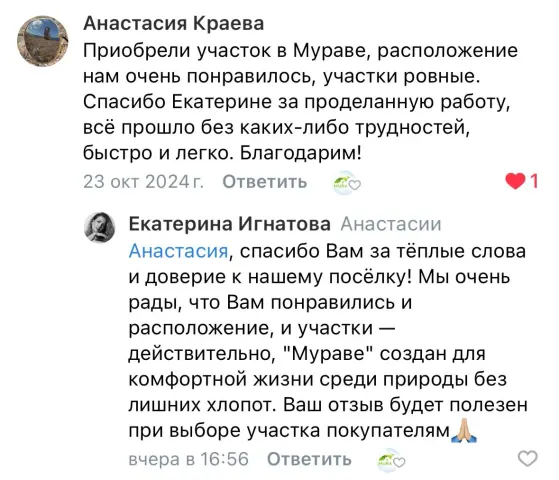 Скриншот отзыва покупателя №2