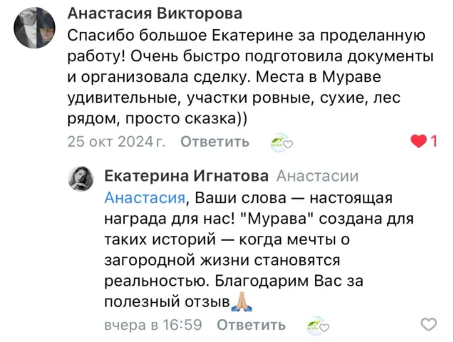 Скриншот отзыва покупателя №3