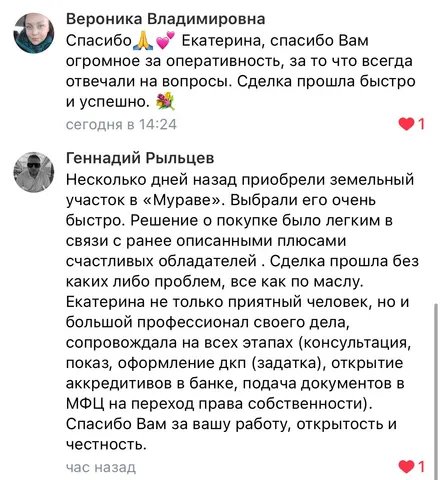 Скриншот отзыва покупателя №4
