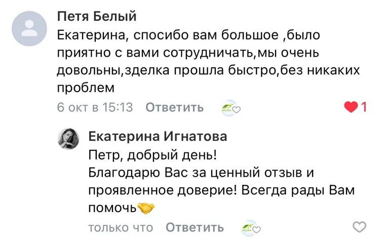 Скриншот отзыва покупателя №7
