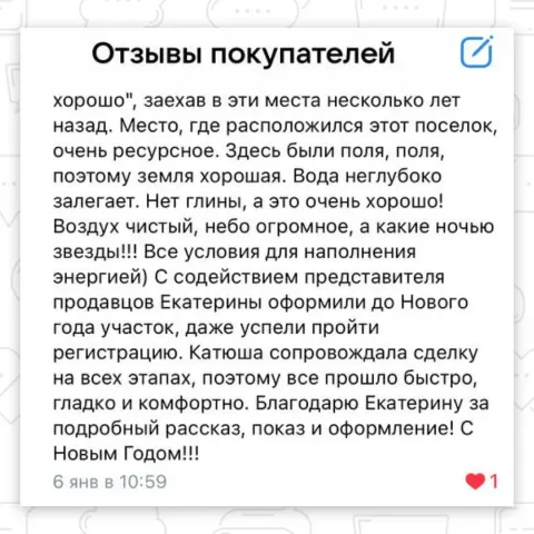 Скриншот отзыва покупателя №17